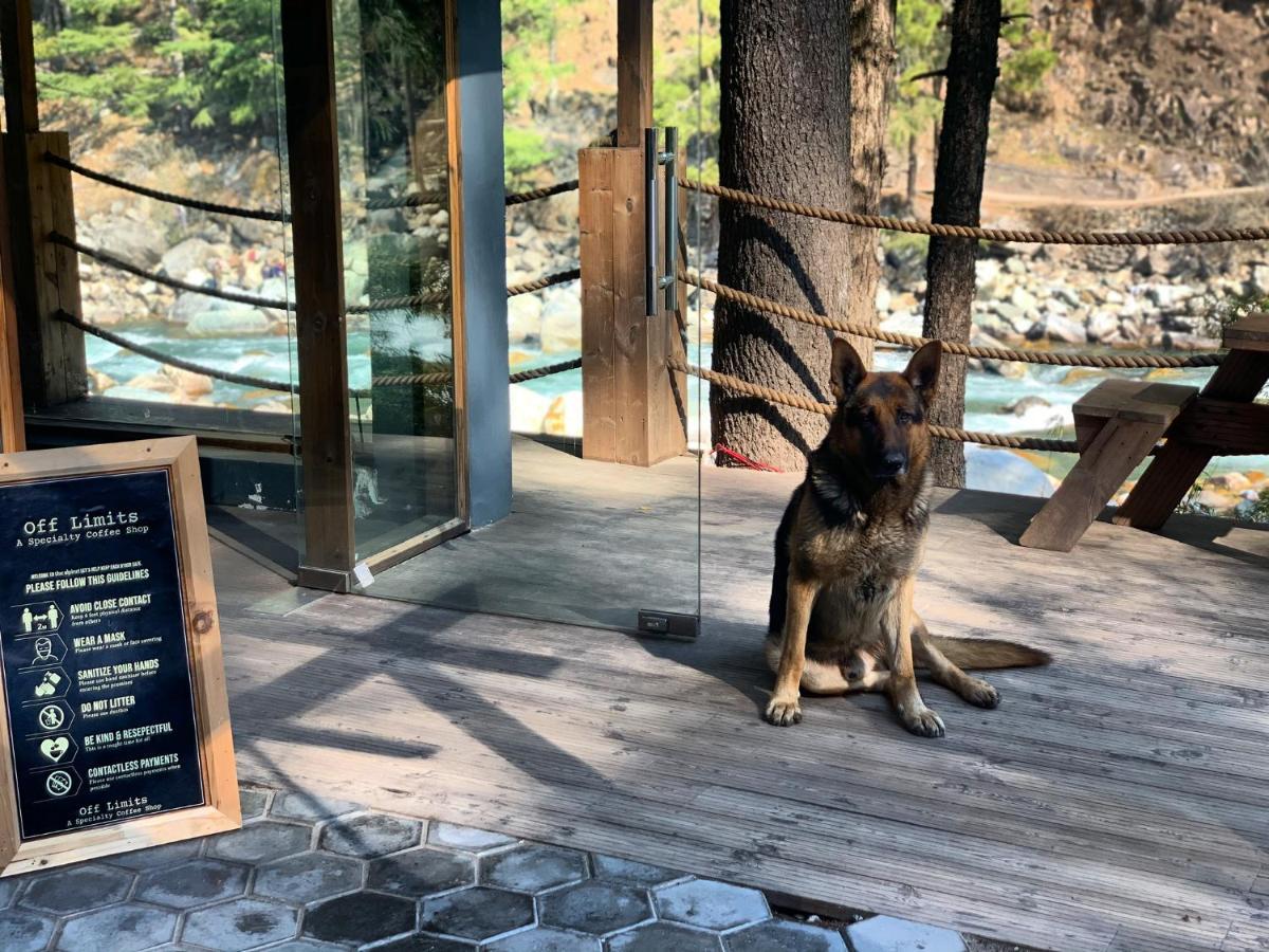 The Alpine Guest House Kasol Extérieur photo