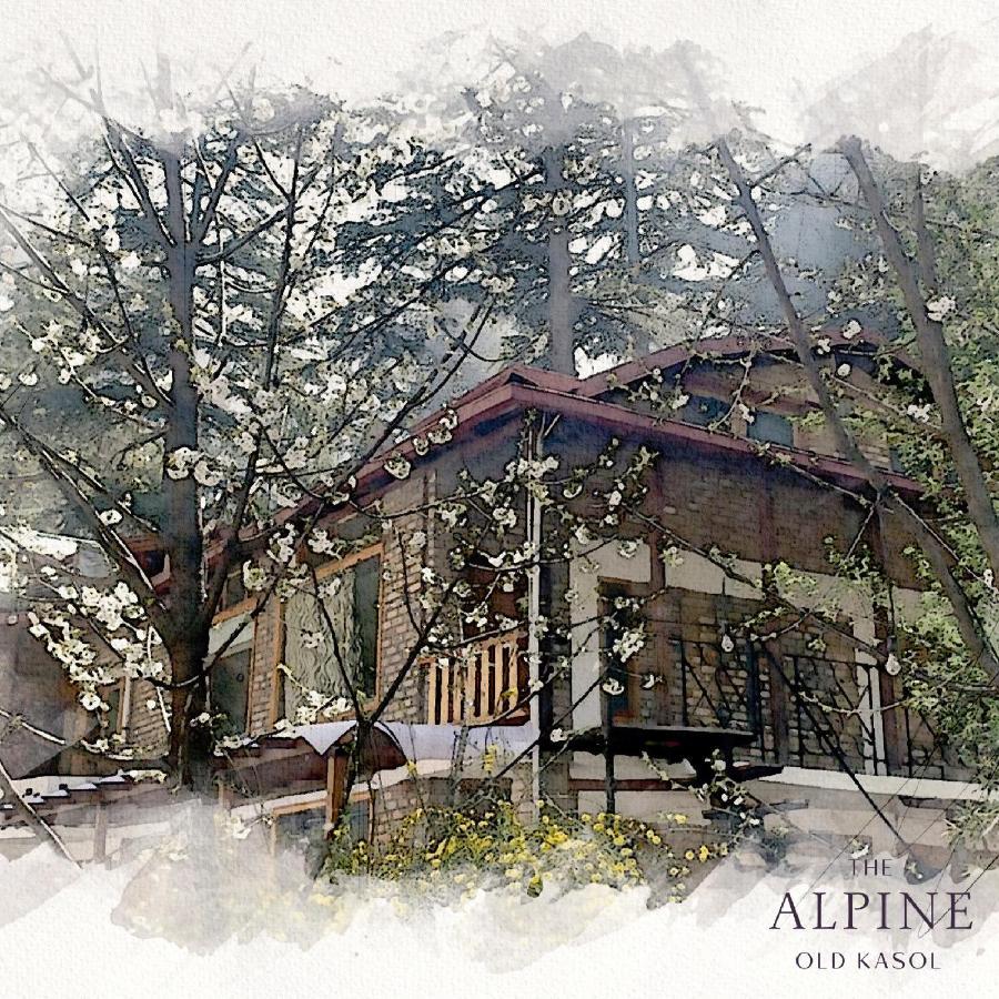 The Alpine Guest House Kasol Extérieur photo